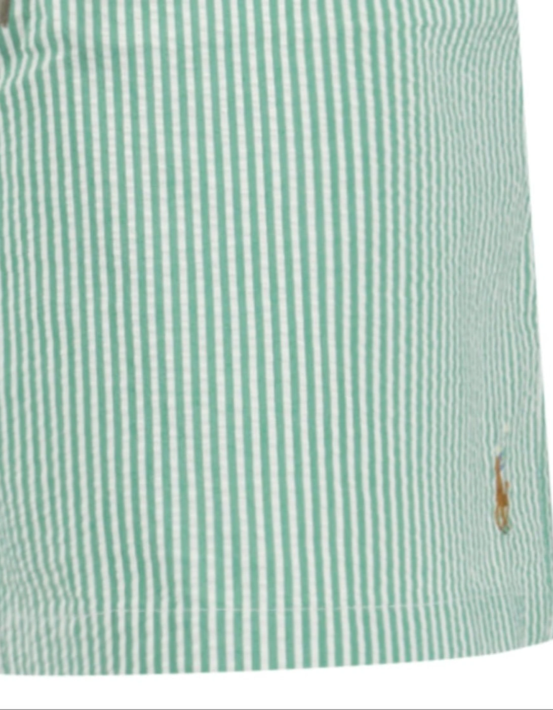 Traveler Classic Swim Trunk in Raft Green Seersucker
