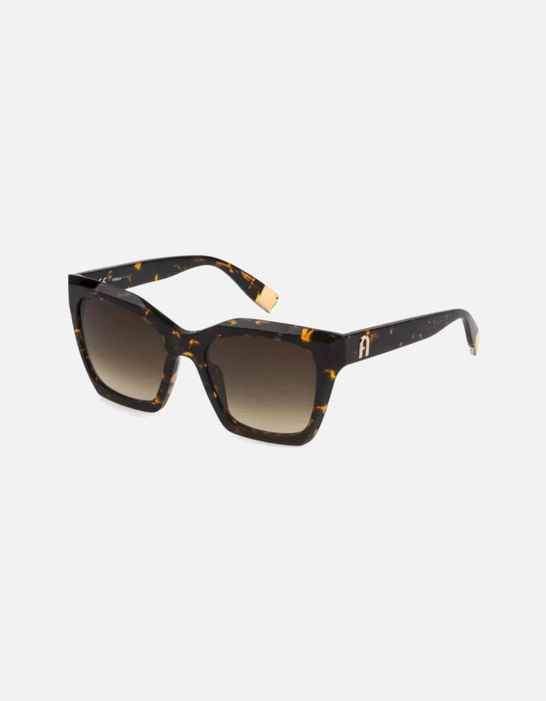 FU117 Tortoie quare unglae