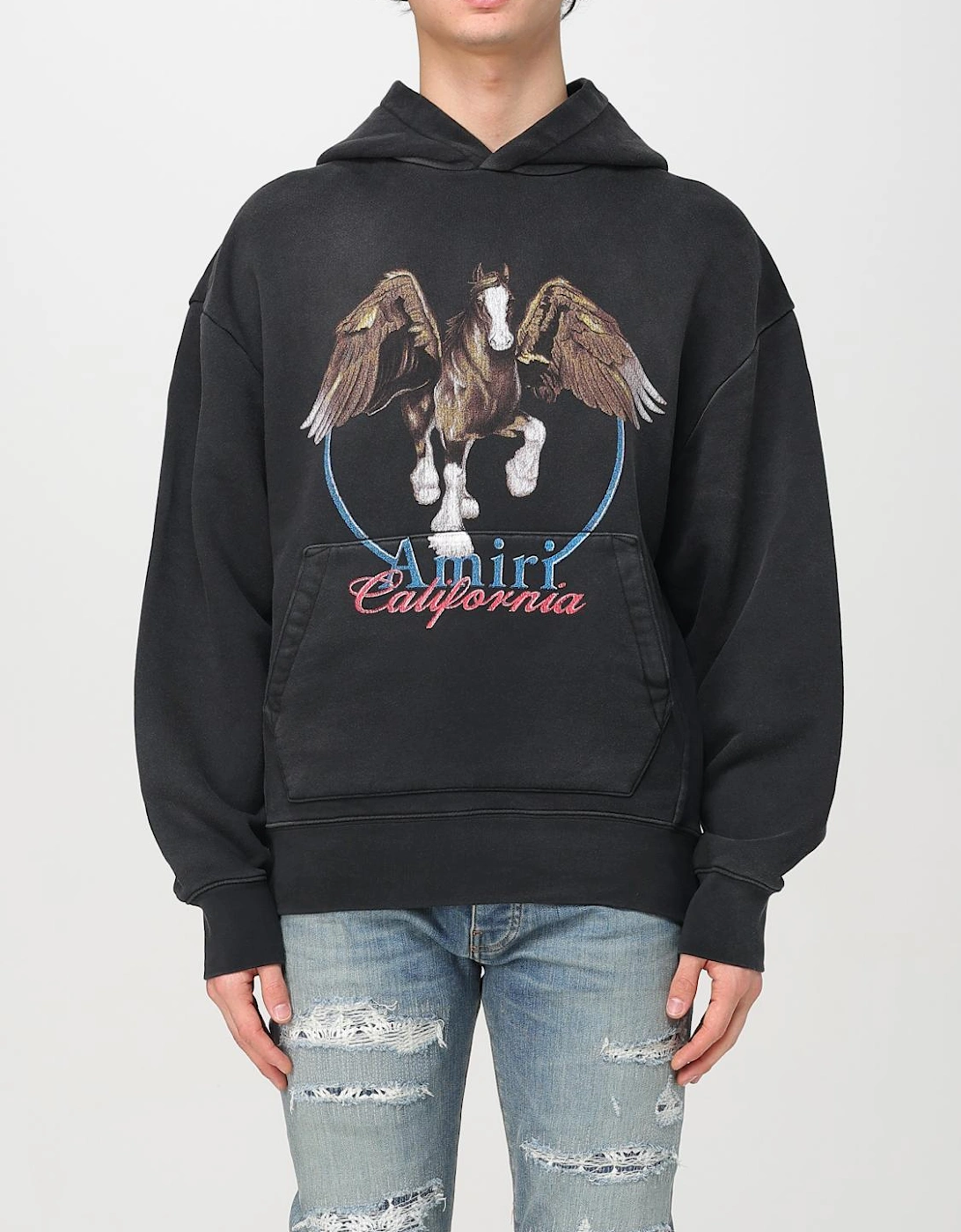 Pegasus Hoodie Graphic Print, 6 of 5