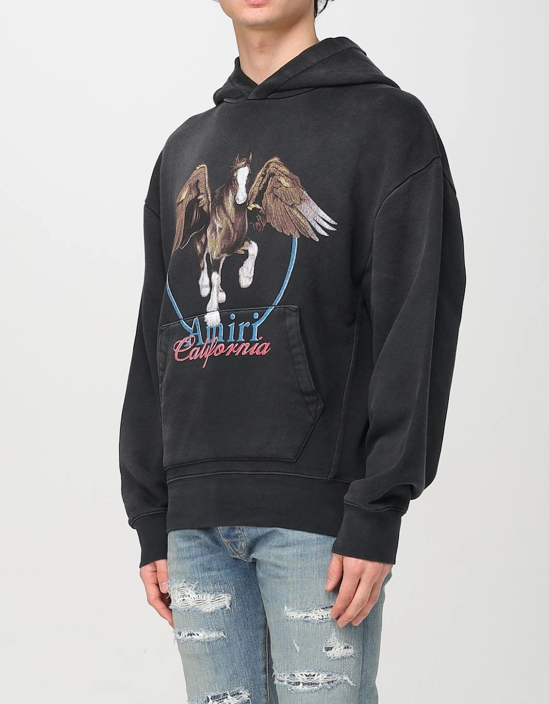Pegasus Hoodie Graphic Print