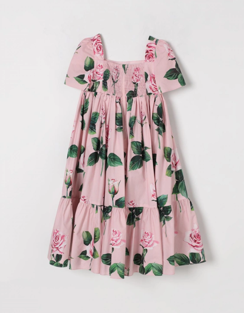 Rose Print ALine Dress