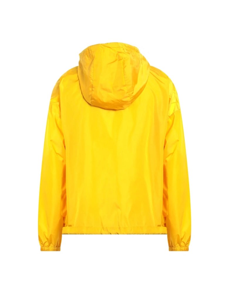 Dandelion Yellow Jacket
