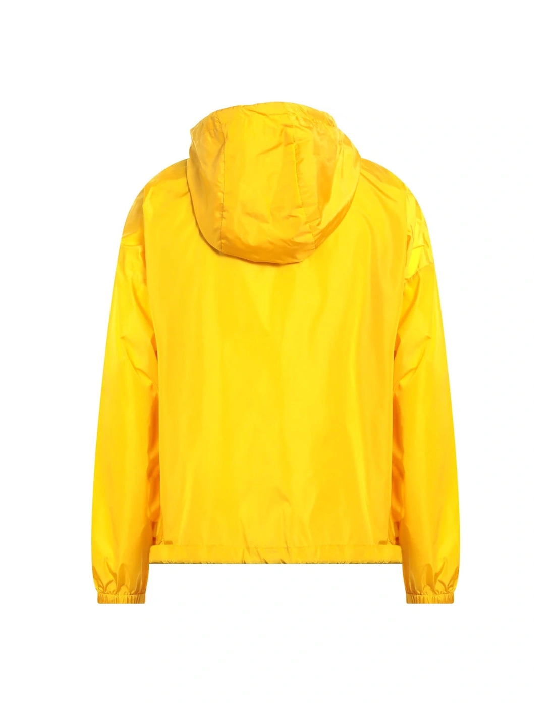 Dandelion Yellow Jacket