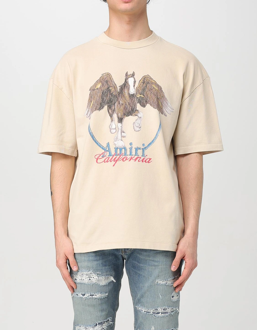 Pegasus Tee Oversized Graphic Tee, 6 of 5