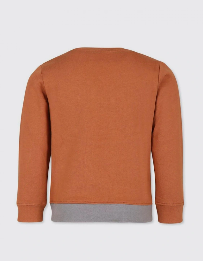 Kids Horse Face Appliqu Sweater