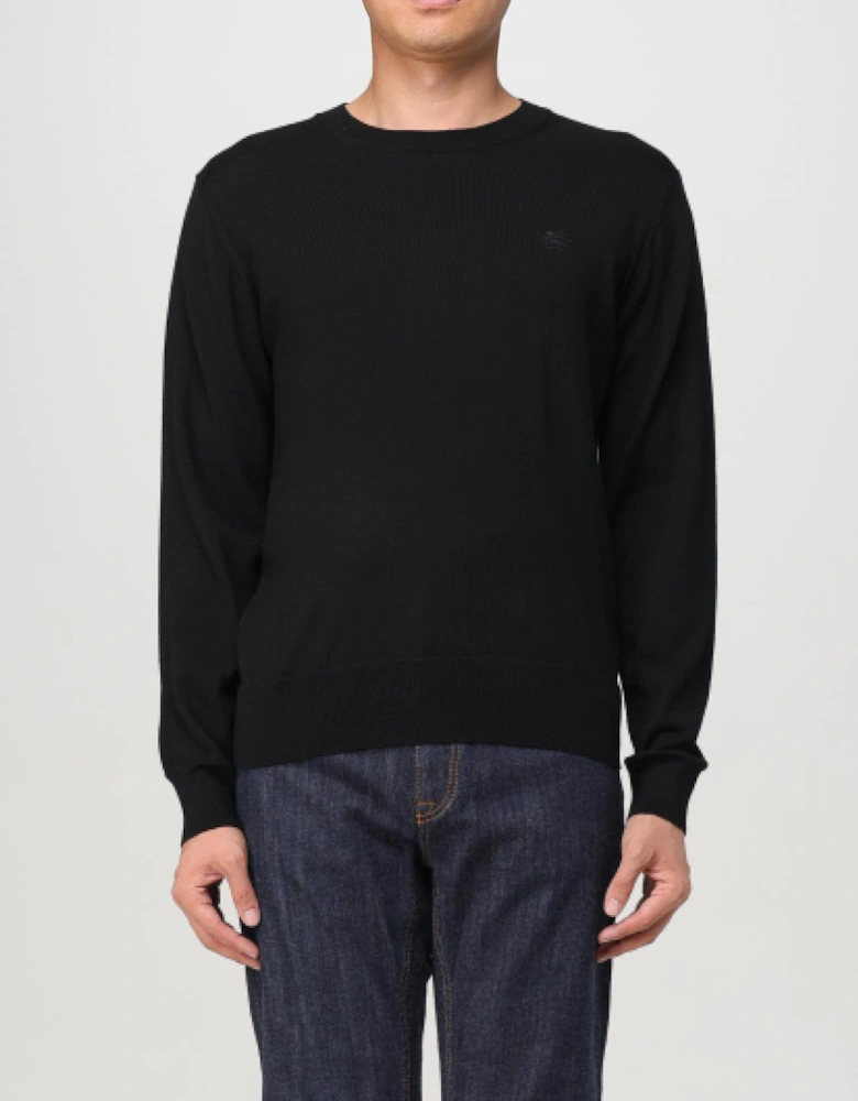 Merino Wool Crew Neck Sweater