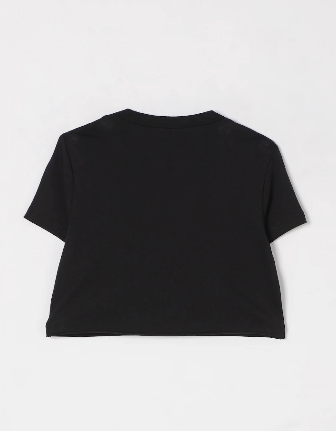 Cropped Swallow TShirt