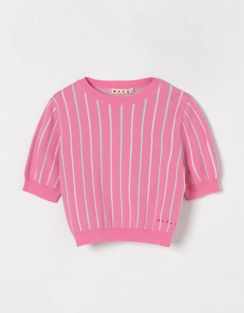 Striped ShortSleeve Pullover