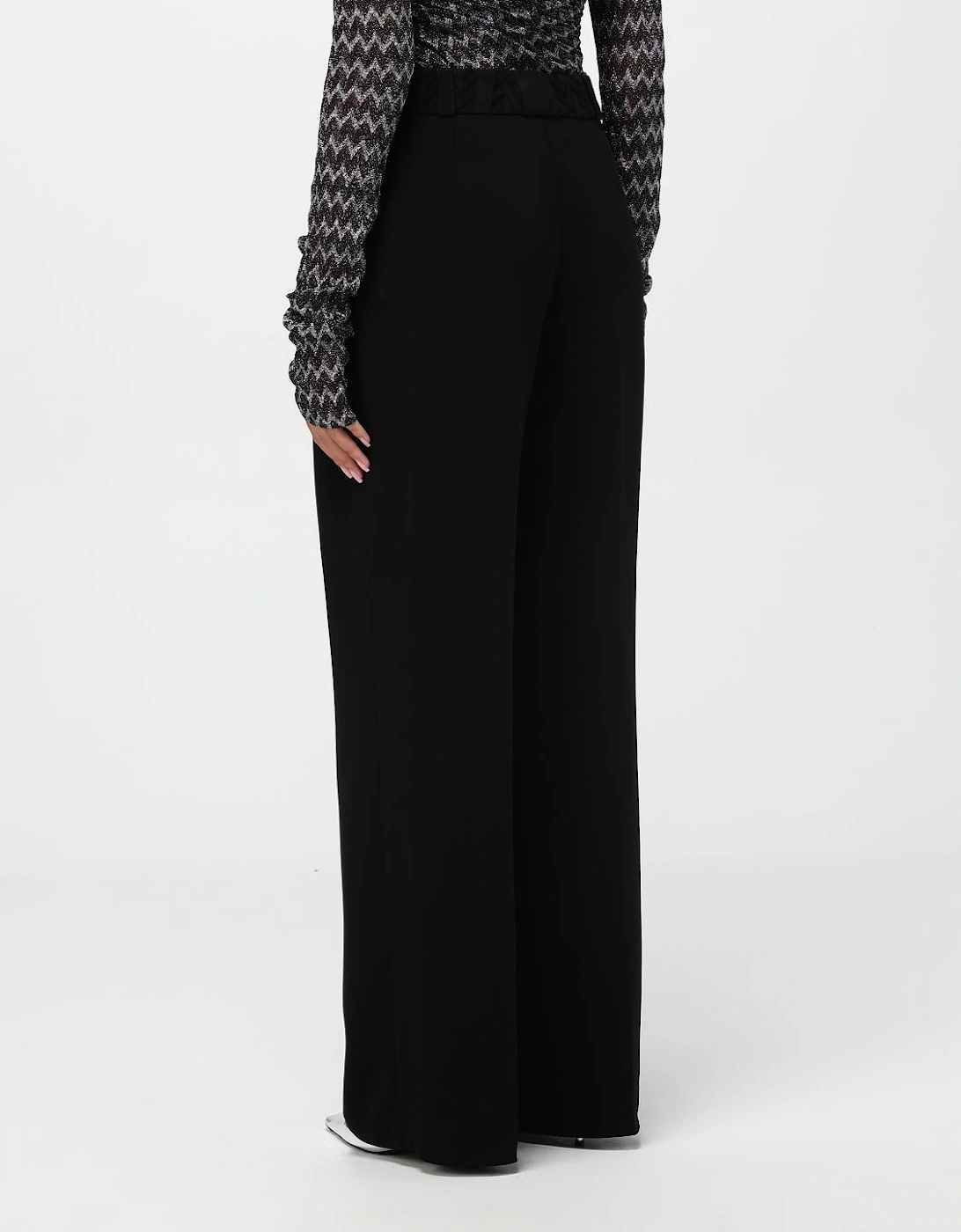 Wide Leg Pleated Pants