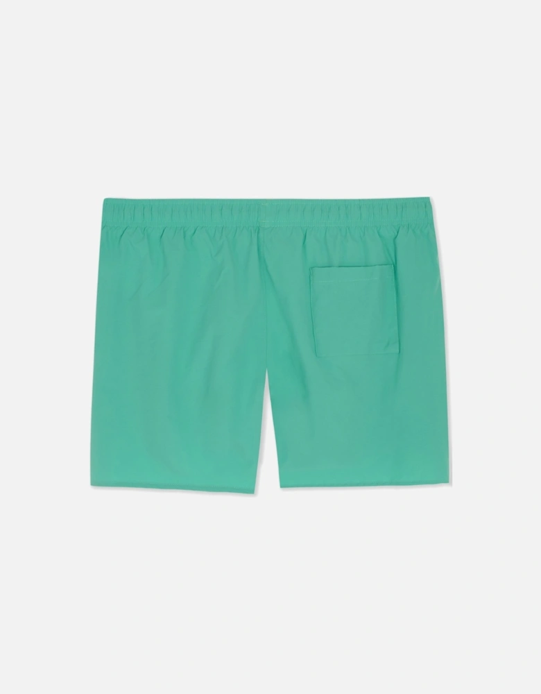 ICONIC SWIMSHORTS