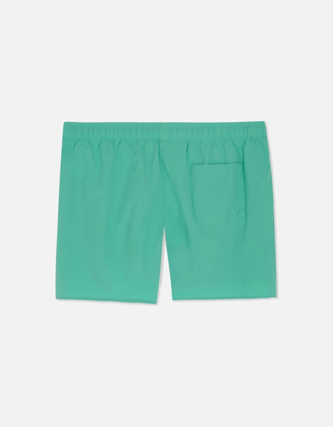 ICONIC SWIMSHORTS