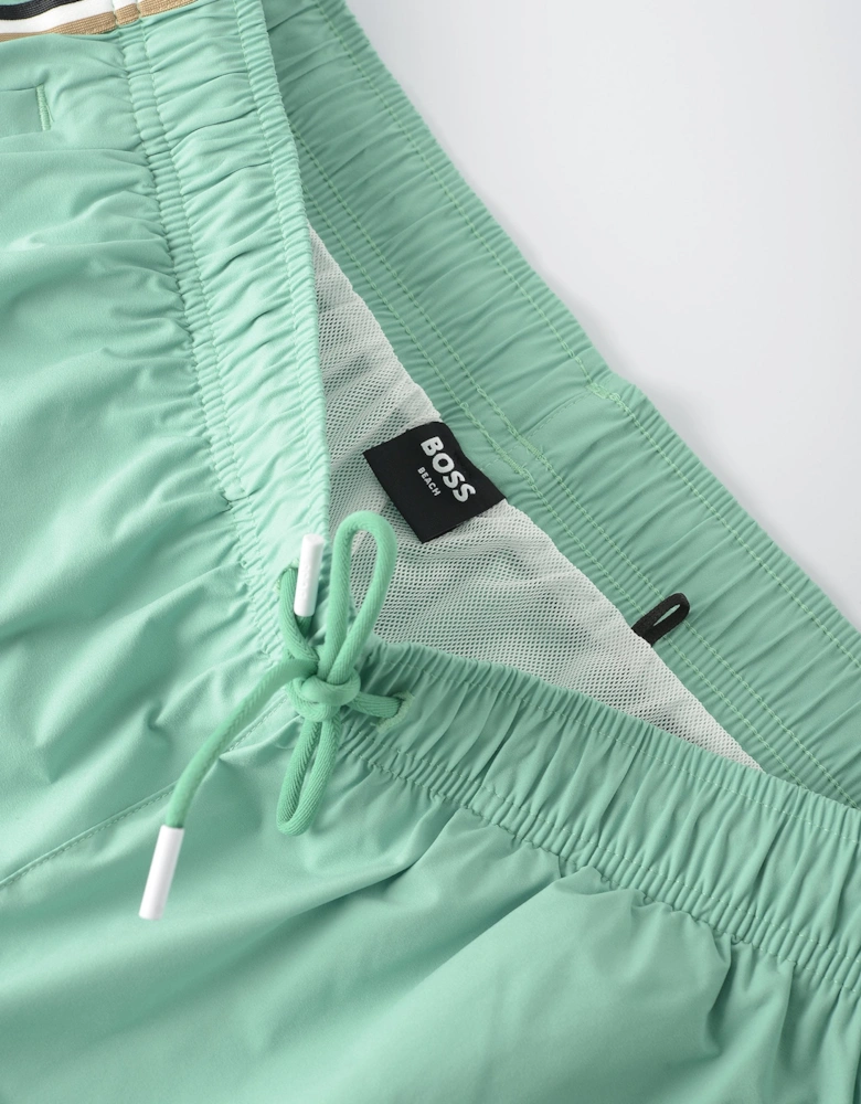 ICONIC SWIMSHORTS