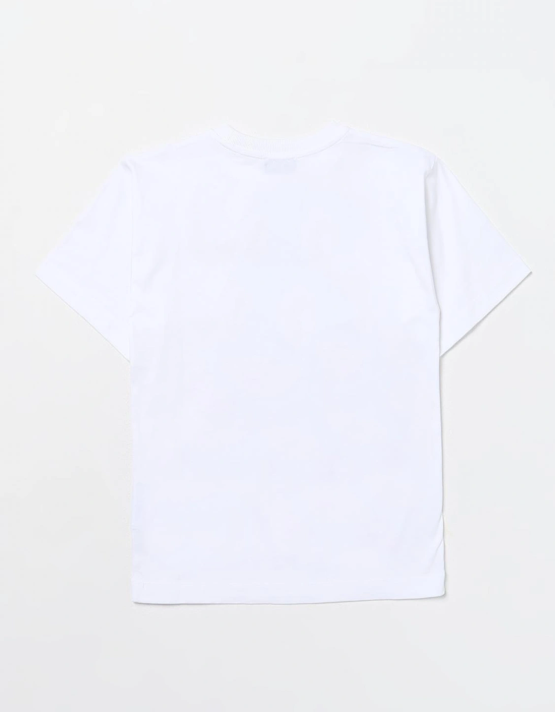 Dinosaur Graphic Tee