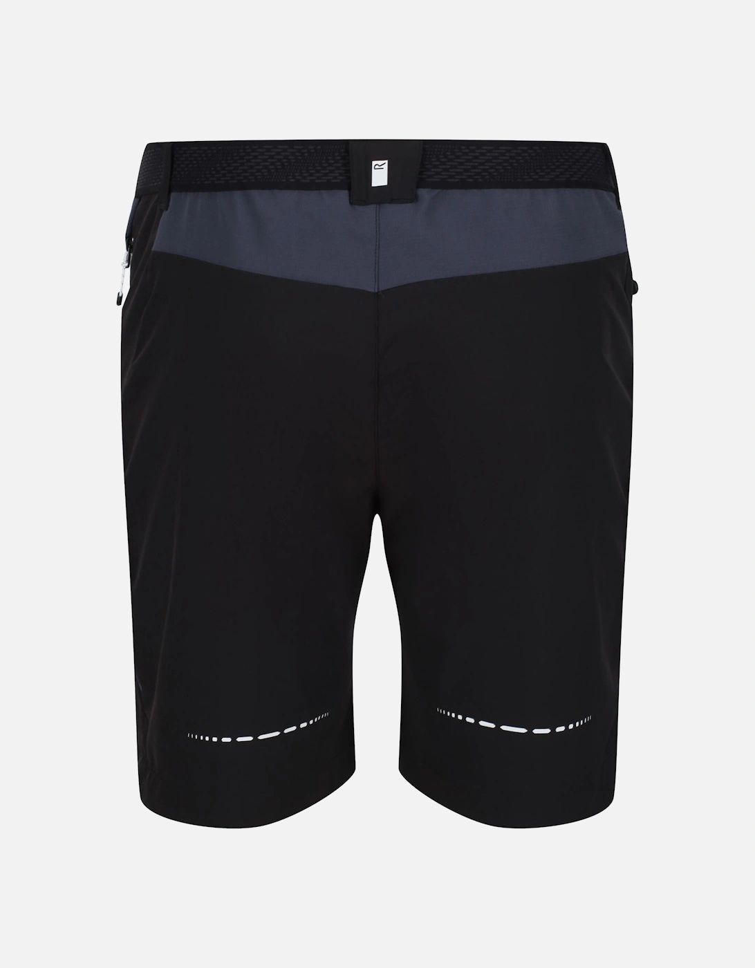 Mens Mountain II Shorts