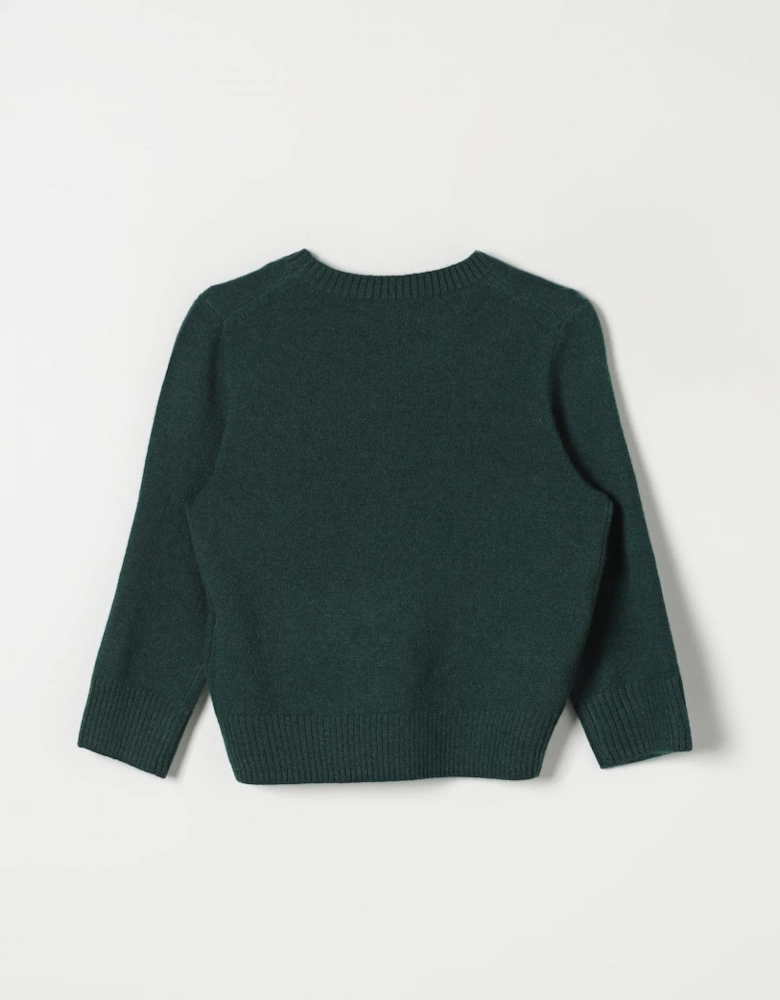 Merino Wool Crew Neck Sweater