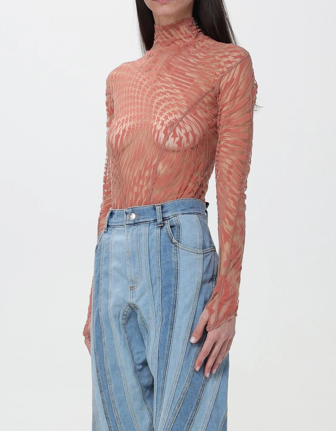Mock Neck Sheer Top