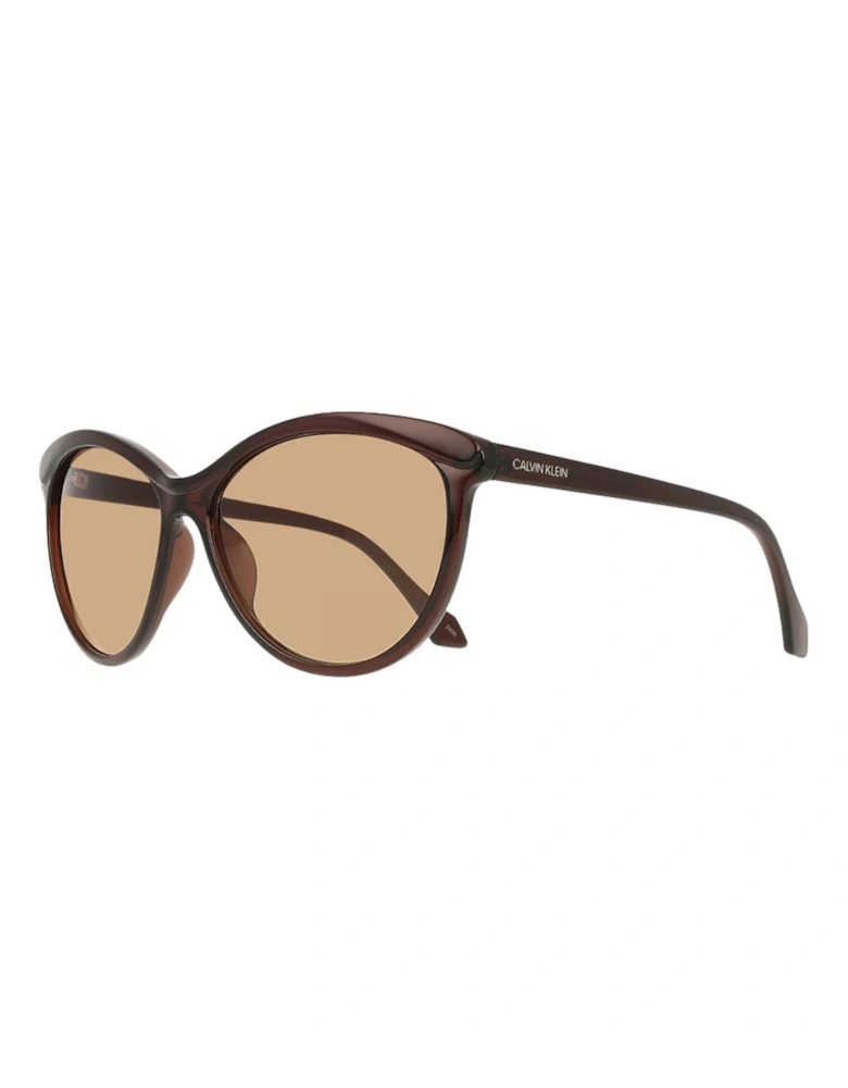 Calvin Klein CK19534S 210 Brown Sunglasses