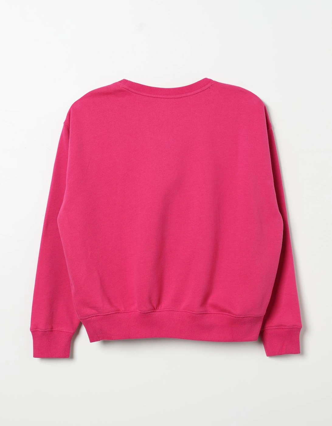 Polo Bear Crew Neck Sweatshirt