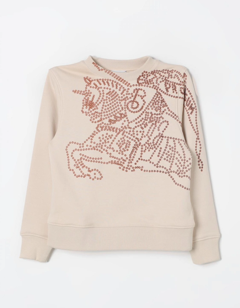 Embellished Crew Neck Knit Sweater