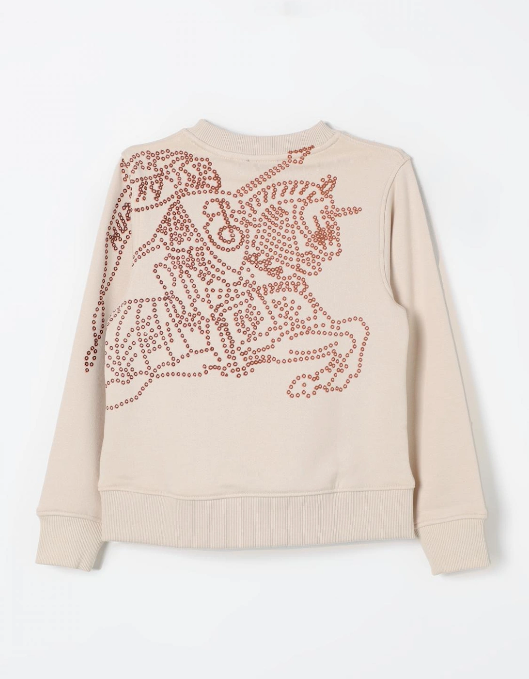 Embellished Crew Neck Knit Sweater