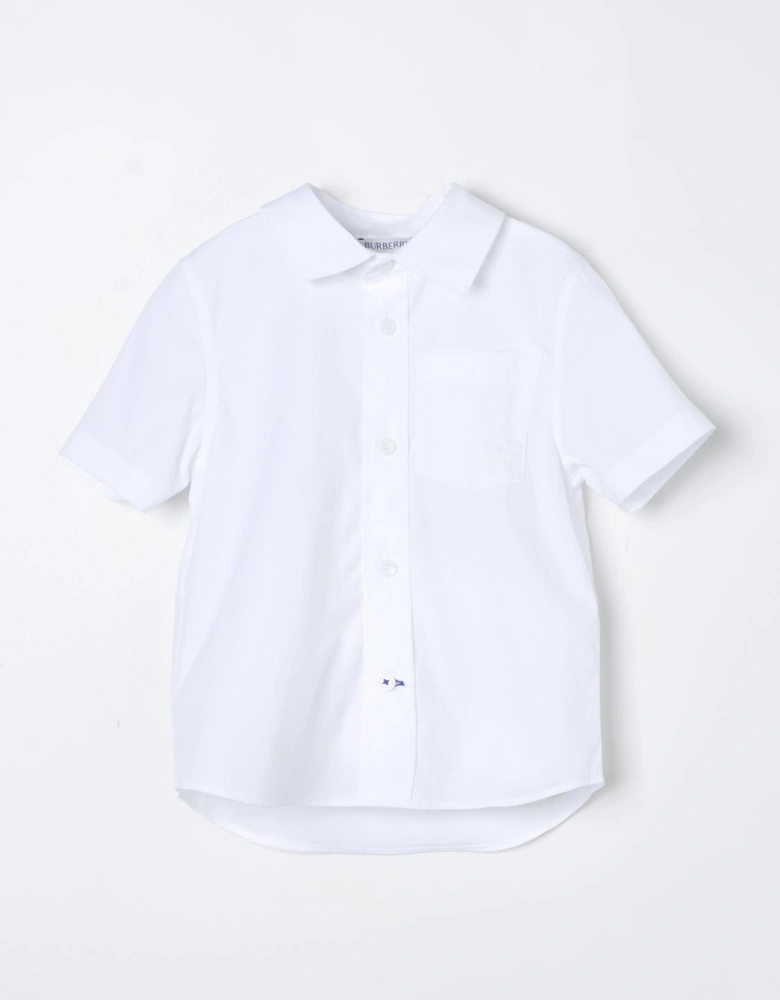 Short Sleeve Shirt Collared Classic