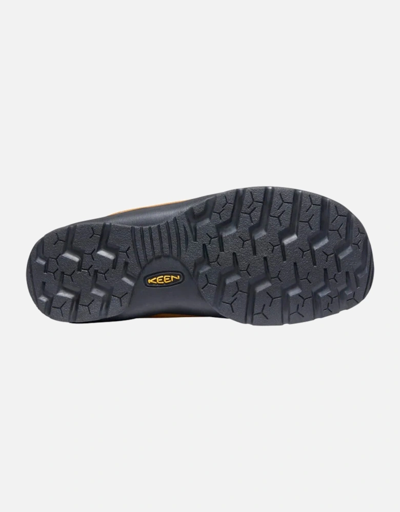 Jasper Trainers