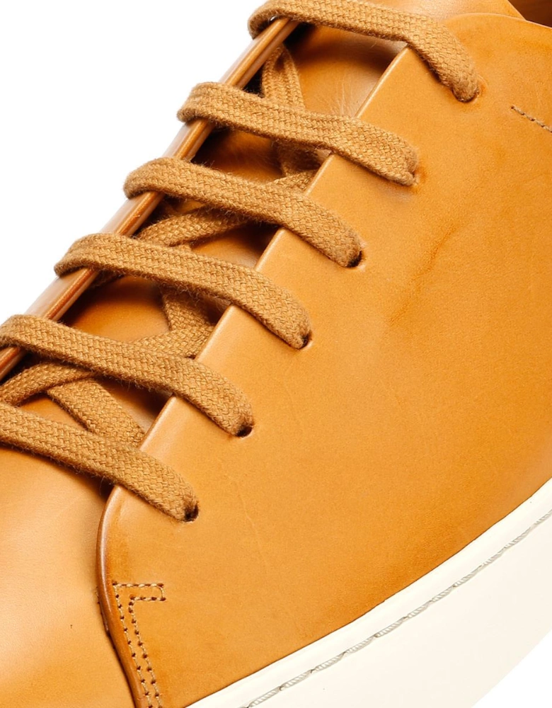 Royal Leather Men's Tan Trainers