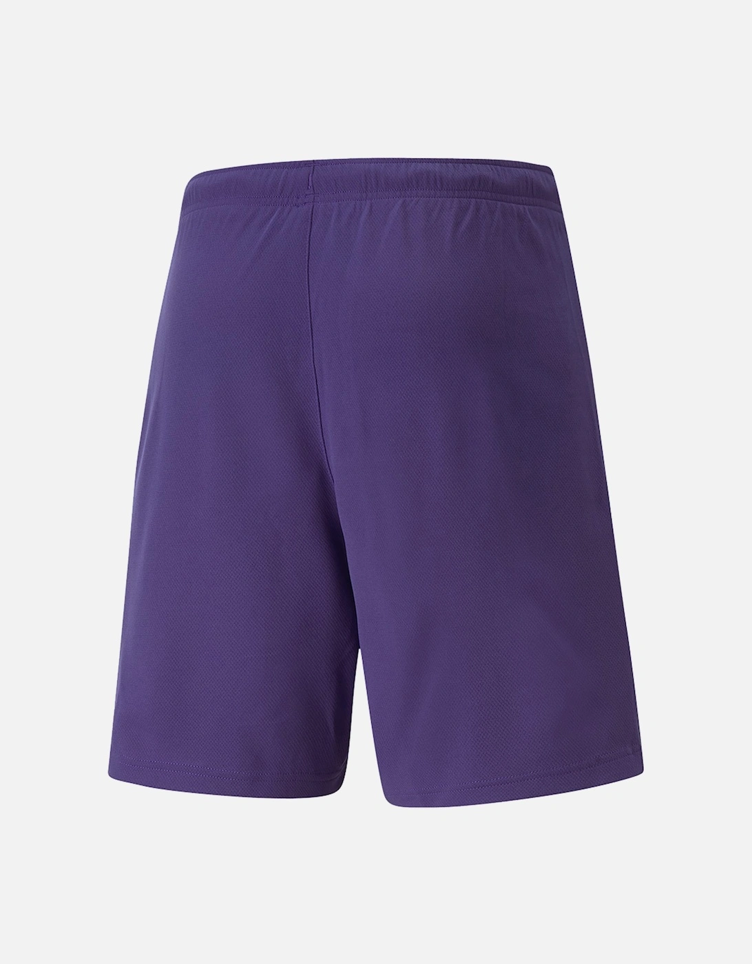 Mens TeamRISE Sweat Shorts