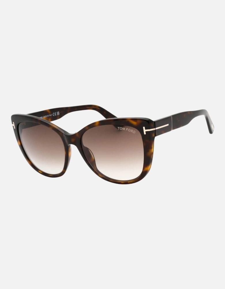 Gradient Roviex Dark Havana Brown Sunglasses