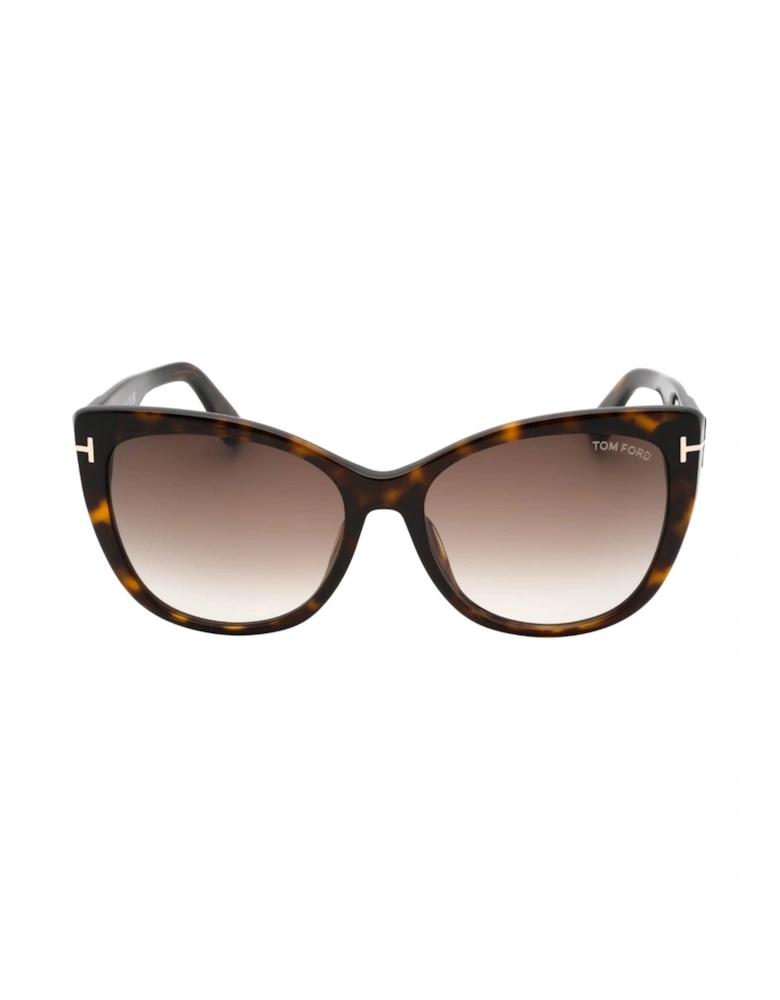 Gradient Roviex Dark Havana Brown Sunglasses