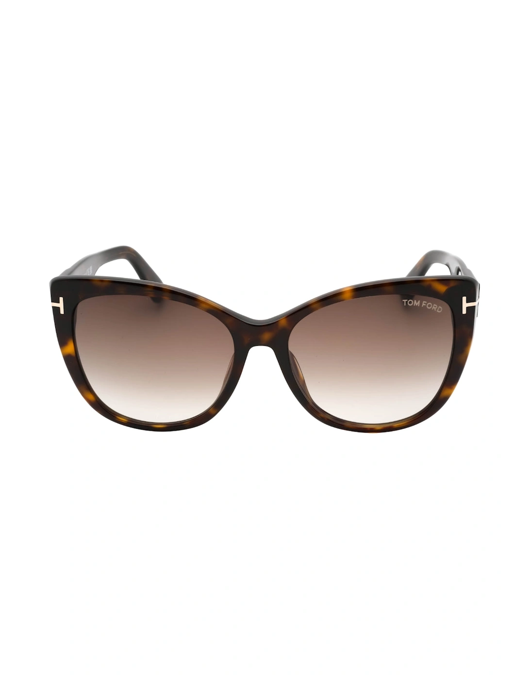 Gradient Roviex Dark Havana Brown Sunglasses
