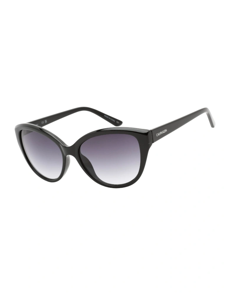 Black Sunglass