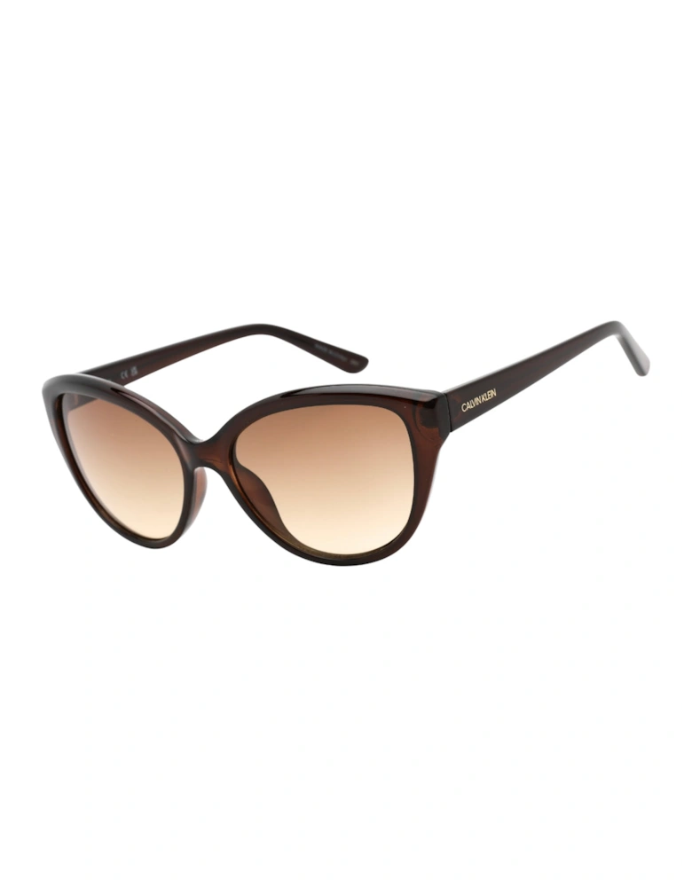 Sunglasses Ck19536S 210 Brown Sunglasses