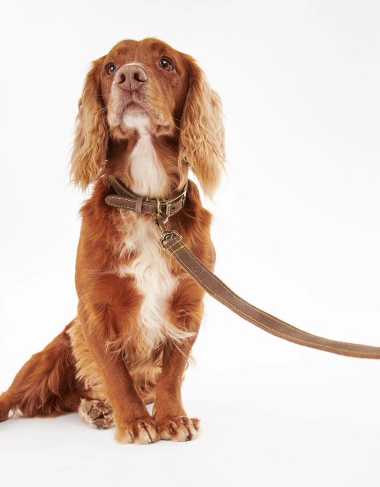 Leather Dog Lead - Brown