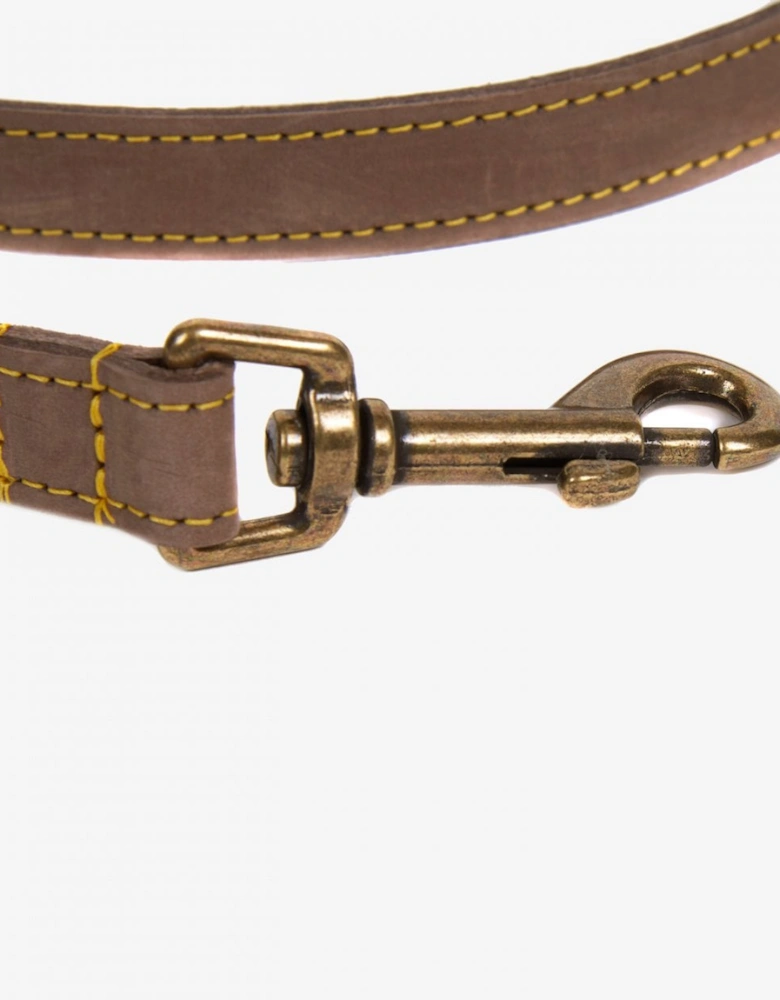 Leather Dog Lead - Brown