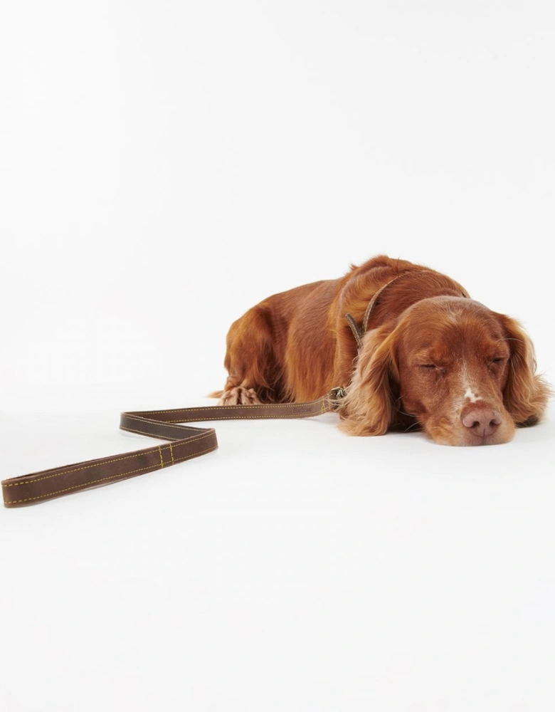 Leather Dog Lead - Brown