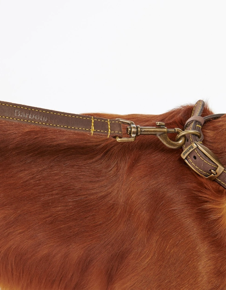 Leather Dog Lead - Brown