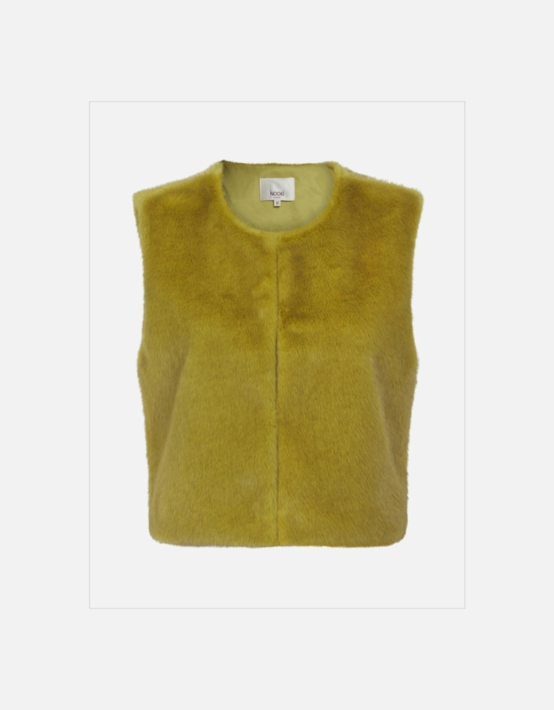 EDELWEISS GILET Chartreuse
