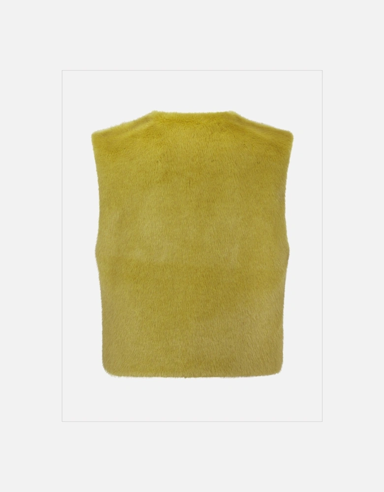 EDELWEISS GILET Chartreuse