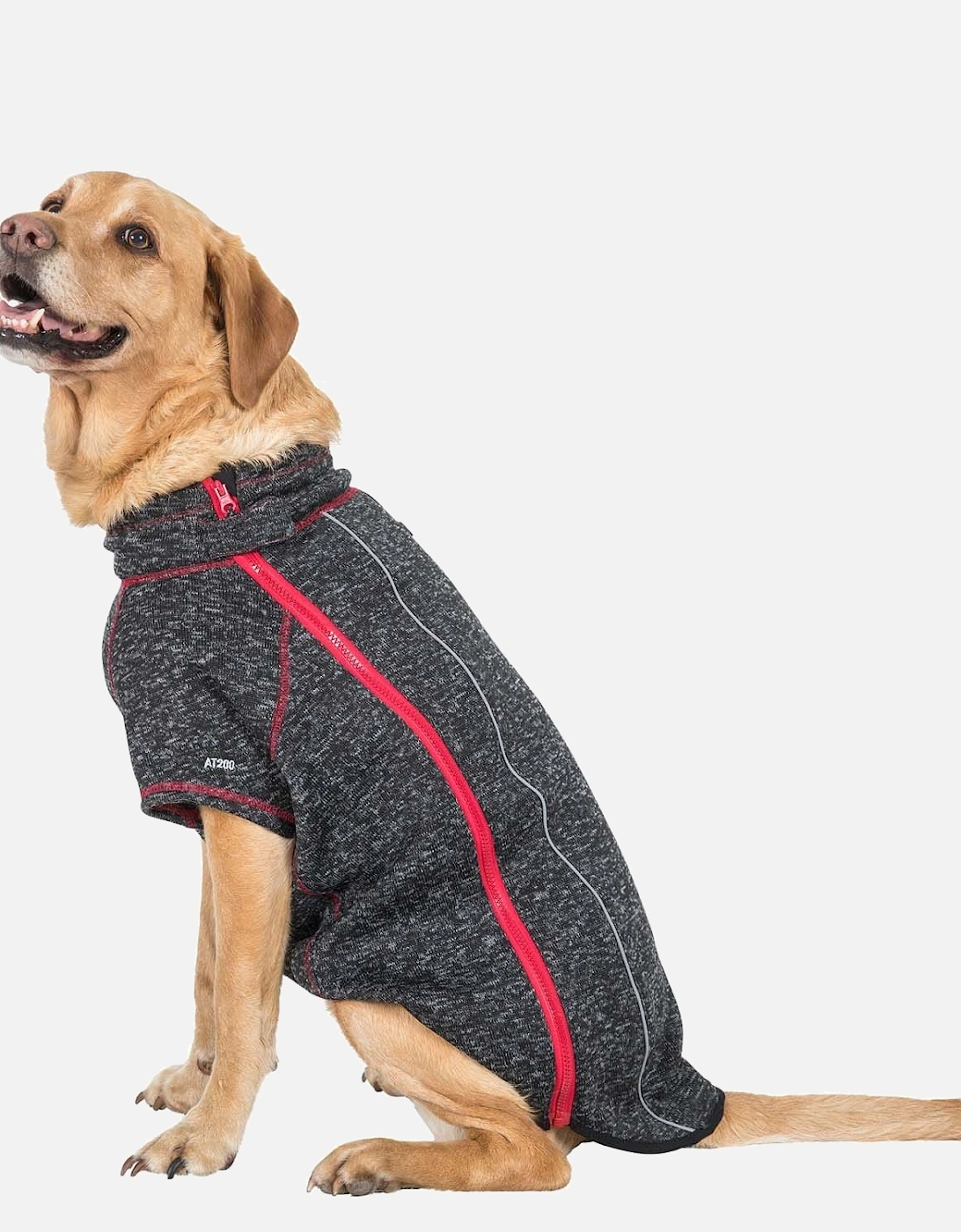 Boomer Dog Fleece, 5 of 4