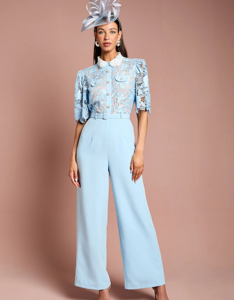 Collared Lace Short Sleeve Jumpsuit