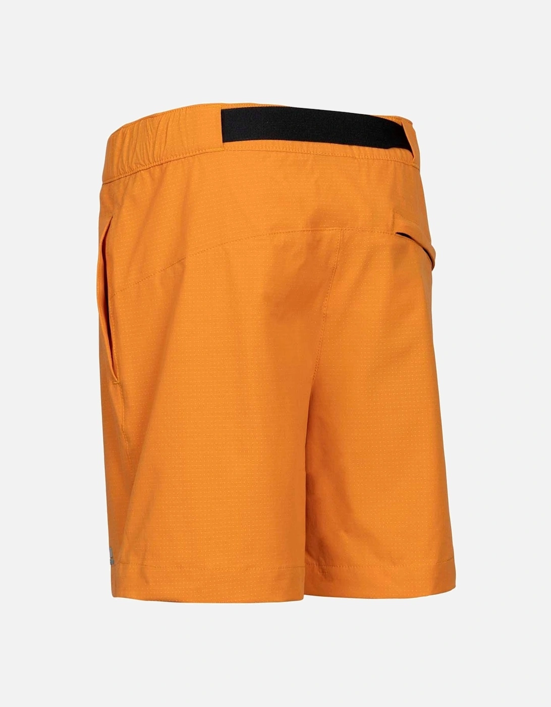 Juniors Directory Shorts