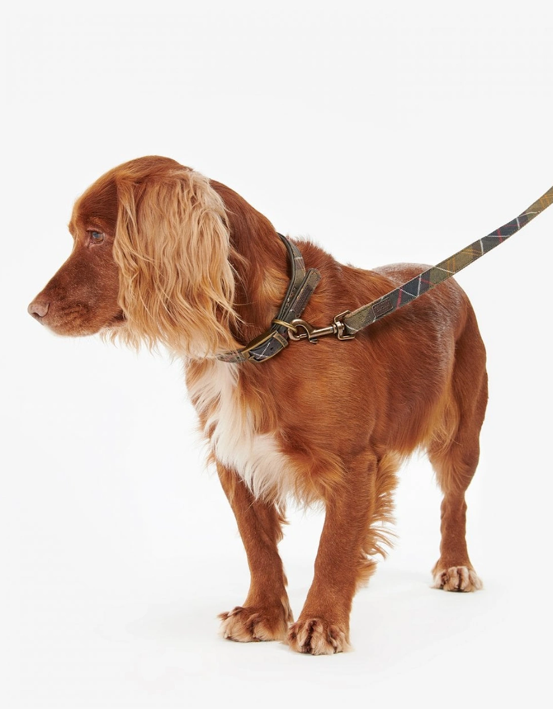 Tartan/Webbing Dog Lead - Classic Tartan