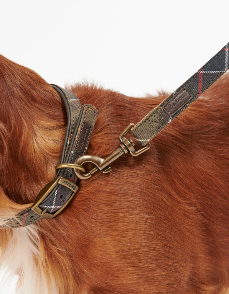 Tartan/Webbing Dog Lead - Classic Tartan