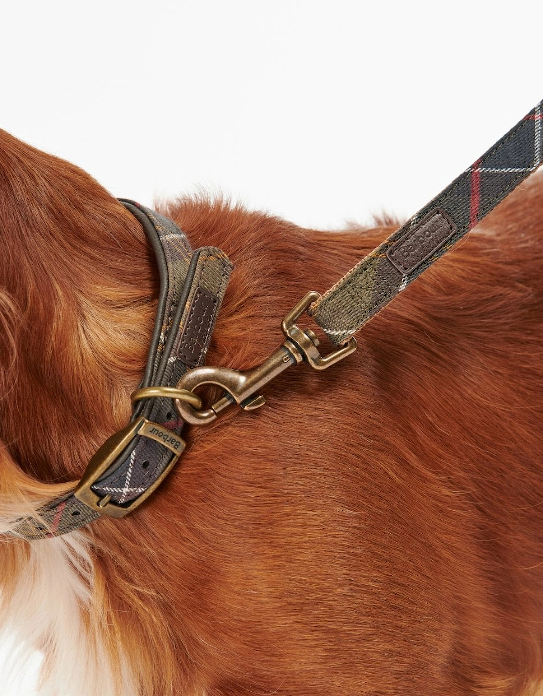 Tartan/Webbing Dog Lead - Classic Tartan
