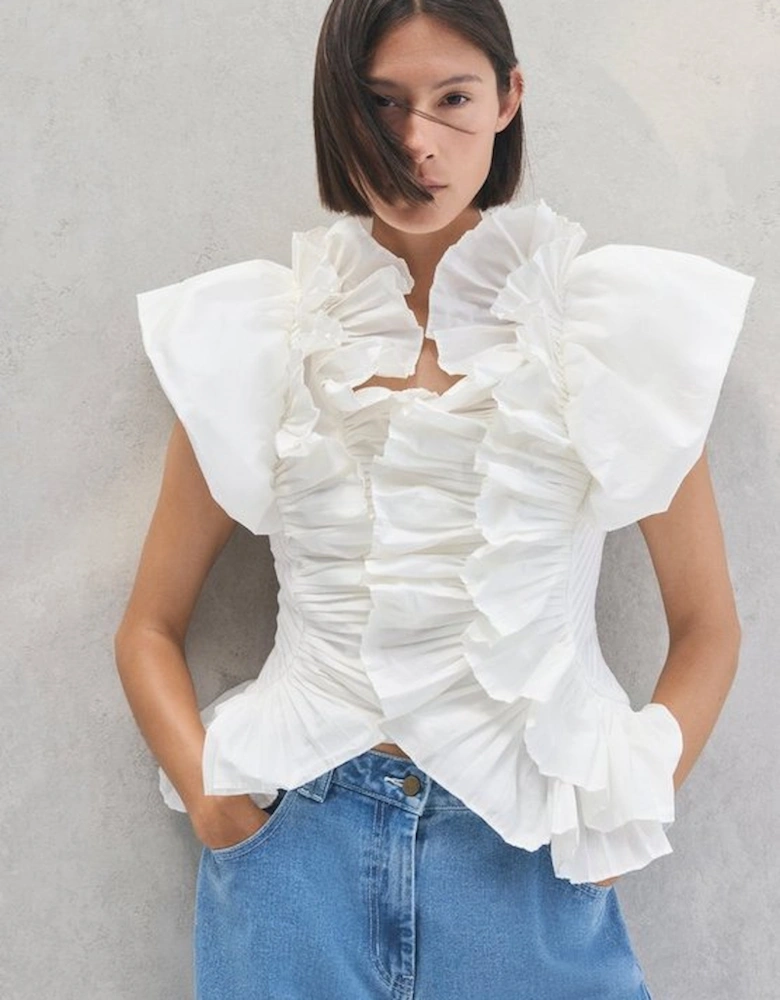 Pleated Ruffle Sleeve Woven Top