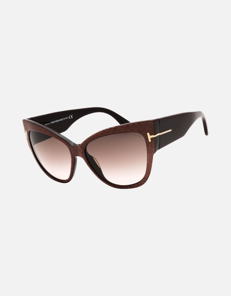 Dark Brown Framed Gradient Brown Lensed Sunglasses