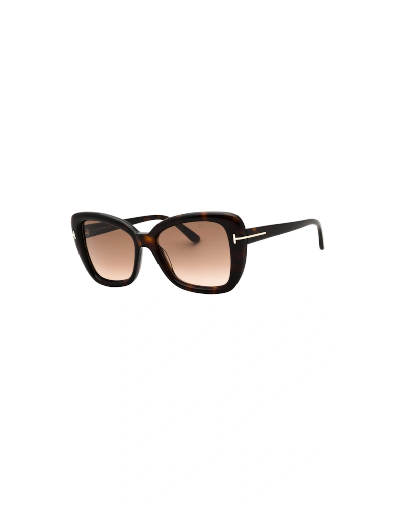 Dark Havana Framed Gradient Brown Sunglasses