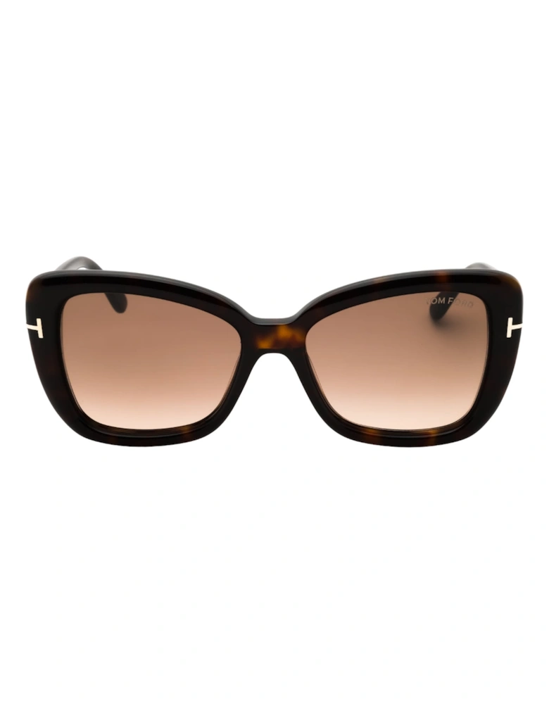 Dark Havana Framed Gradient Brown Sunglasses