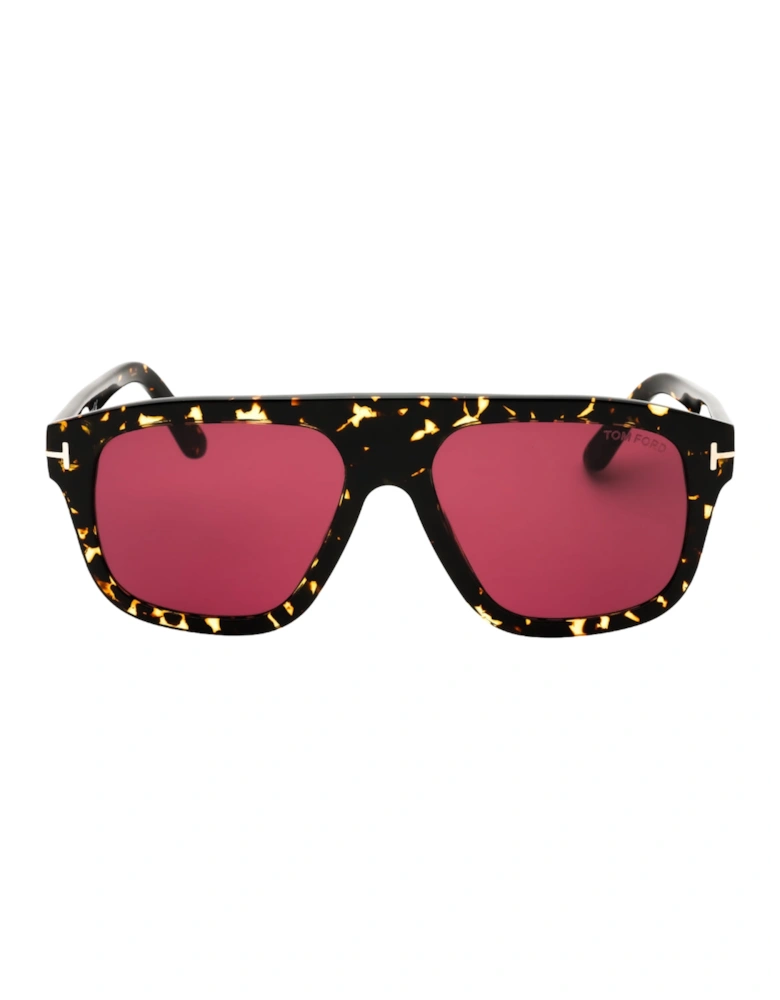 Dark Havana Framed Bordeaux Sunglasses